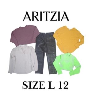 5 pcs Aritzia Style Bundlesize large TNA And Babaton Faux Leather Pants & Tops